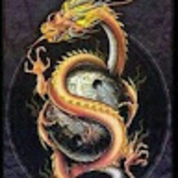 flashdragon42